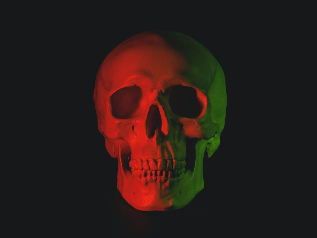 skull image representing the death of the nuclear family